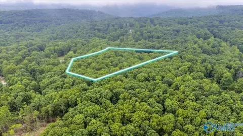 2 Acres Range Rd, Gurley, AL 35748 photo 6