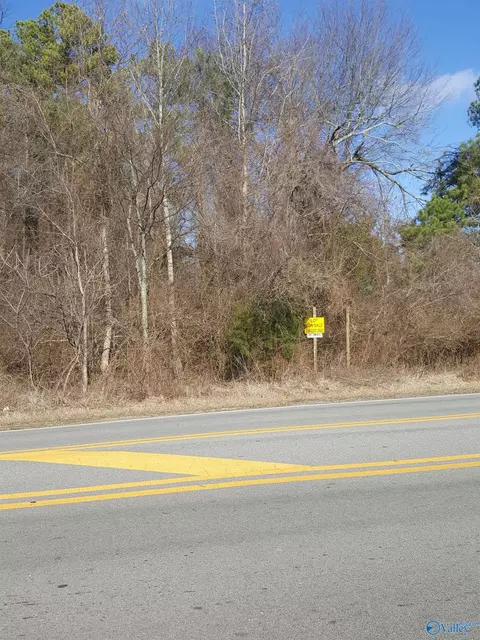 1 1 Acres Ford Chapel Rd, Harvest, AL 35749