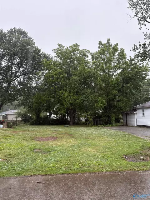 1207 Broadus Ave, Decatur, AL 35601