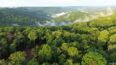 18 Paramount Dr, Grant, AL 35747
