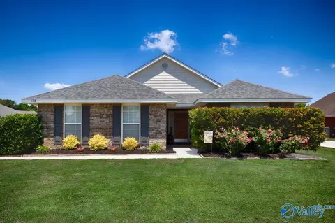 173 Amsterdam Pl, Madison, AL 35758