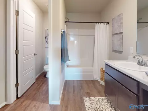 Bath - 1037 John Ave, Trinity, AL 35673 photo 2 of 3
