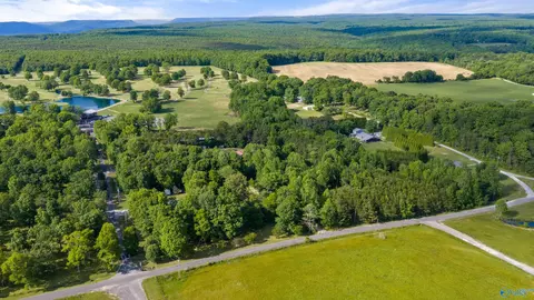 4 County Road 647, Mentone, AL 35984