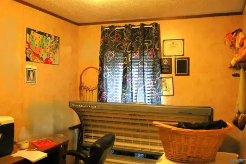 903 County Road 418, Dutton, AL 35744 photo 9