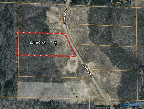 2 County Road 37, Nauvoo, AL 35578