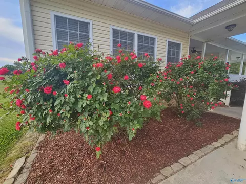 Other - 6800 County Road 38, Section, AL 35771 photo 8 of 14