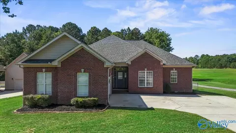 1220 Johnson Ave, New Hope, AL 35760