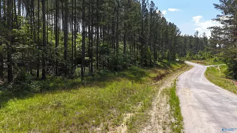 058 Pine Hills Way, Piedmont, AL 36272
