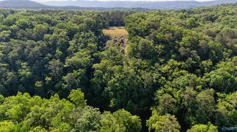 1450 County Road 137, Cedar Bluff, AL 35959 photo 5