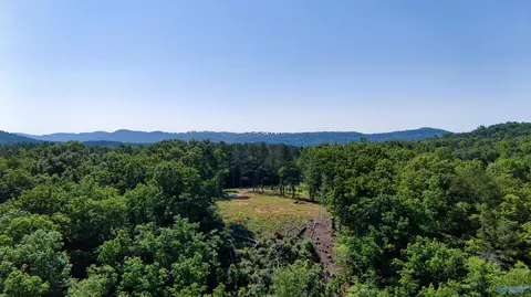 1450 County Road 137, Cedar Bluff, AL 35959 photo 4
