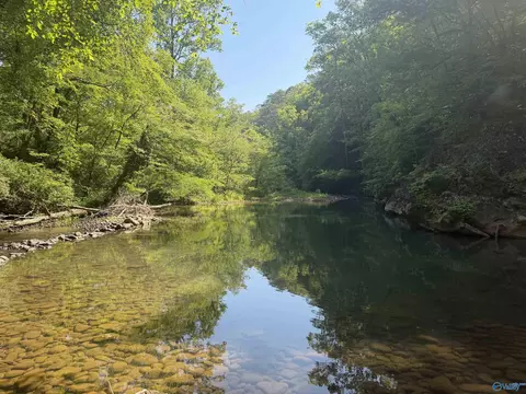 1450 County Road 137, Cedar Bluff, AL 35959 photo 6