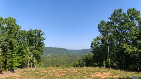 1450 County Road 137, Cedar Bluff, AL 35959 photo 2
