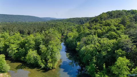 1450 County Road 137, Cedar Bluff, AL 35959 photo 9