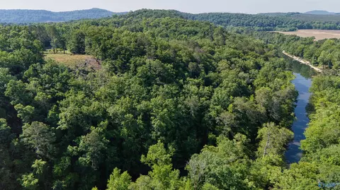 1450 County Road 137, Cedar Bluff, AL 35959 photo 3