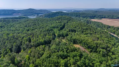 1450 County Road 137, Cedar Bluff, AL 35959 photo 7