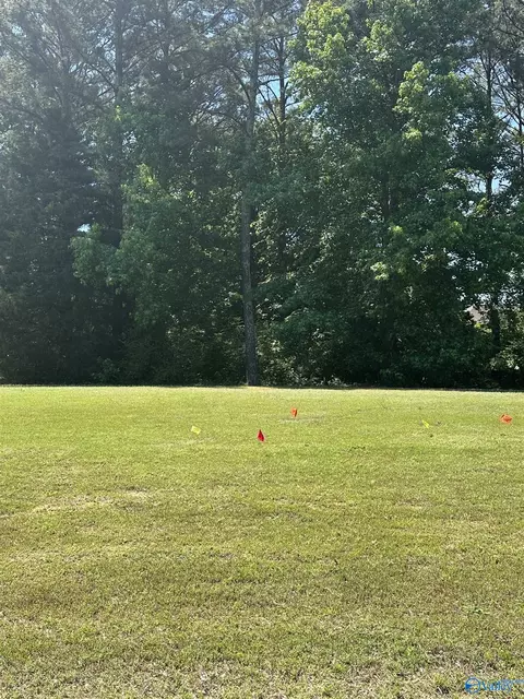 lot V-8 Copper Leaf Walk, Gadsden, AL 35901