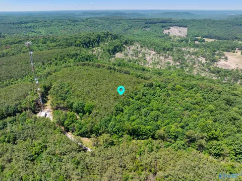 475 Summer House Mountain Rd, Cherokee, AL 35616
