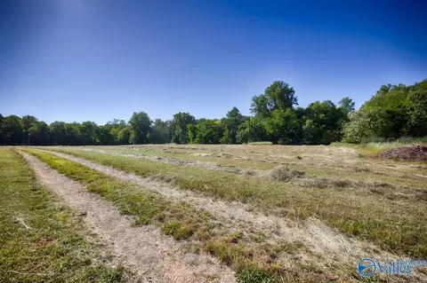 1028 Pettus Rd, Madison, AL 35757