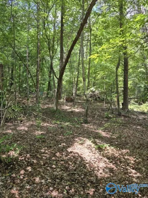 lot2 Cherokee County Road 275, Fort Payne, AL 35967
