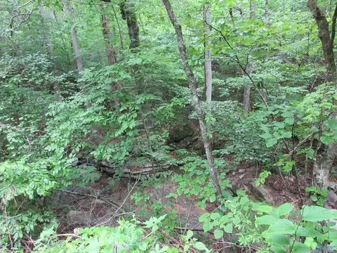 1 Ruby Johnson Dr, Hollywood, AL 35752