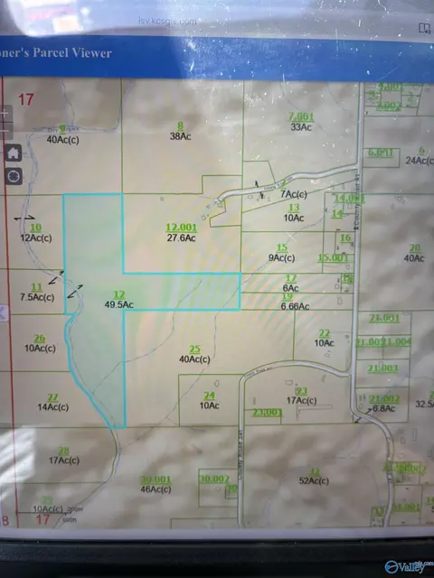 49 50 Acres County Road 605, Section, AL 35771 photo 2
