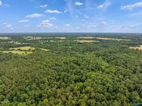 49 50 Acres County Road 605, Section, AL 35771 photo 5