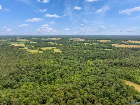 49 50 Acres County Road 605, Section, AL 35771 photo 6