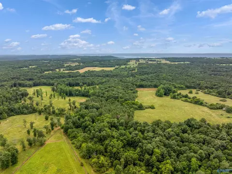 49 50 Acres County Road 605, Section, AL 35771 photo 3