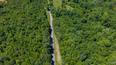 53 Acres Beason Cove Rd, Steele, AL 35987