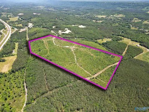 74 Acres Bethel Rd, Valley Head, AL 35989