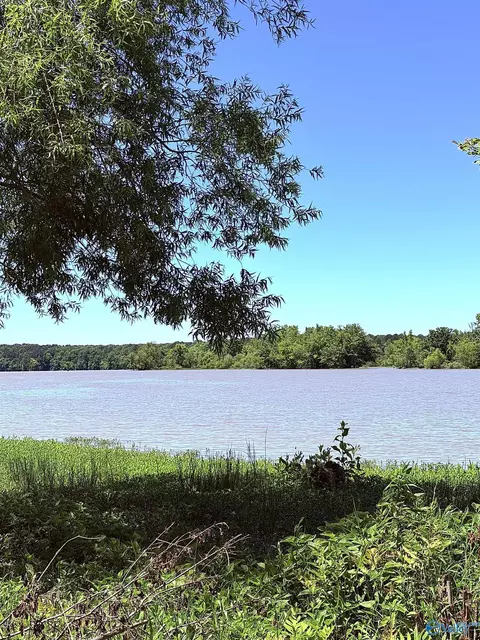 lot41 County Road 1008, Cedar Bluff, AL 35959