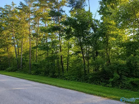 Tract 12C-13 County Road 711 #12C-13, Cedar Bluff, AL 35959