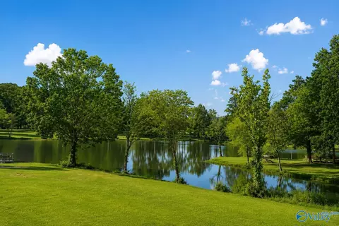 lot S 6-7 County Road 115 #6-7, Cedar Bluff, AL 35959