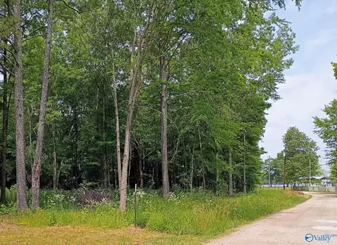 lot S 6-8 County Road 450, Centre, AL 35960