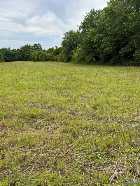 15 98 Acres County Road 154, Section, AL 35771 photo 22