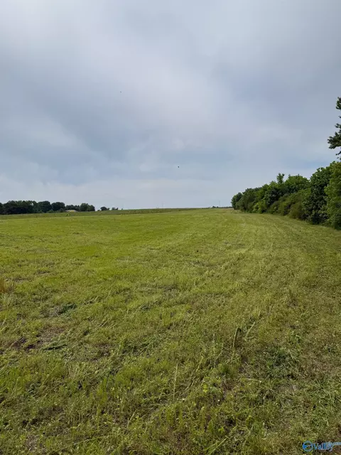 15 98 Acres County Road 154, Section, AL 35771 photo 18