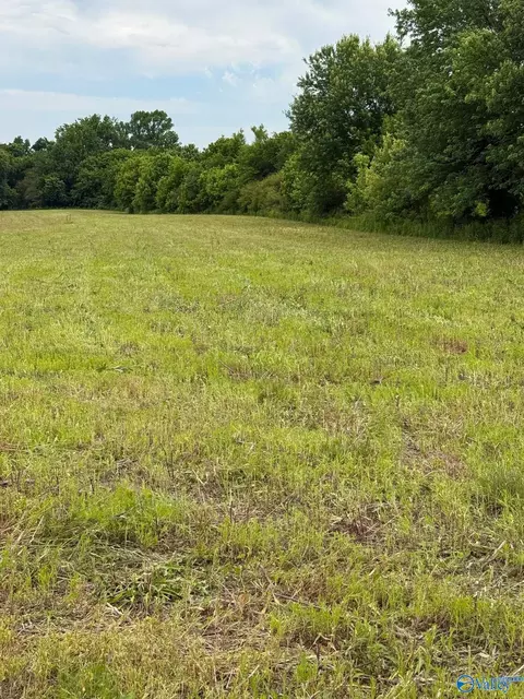 15 98 Acres County Road 154, Section, AL 35771 photo 21