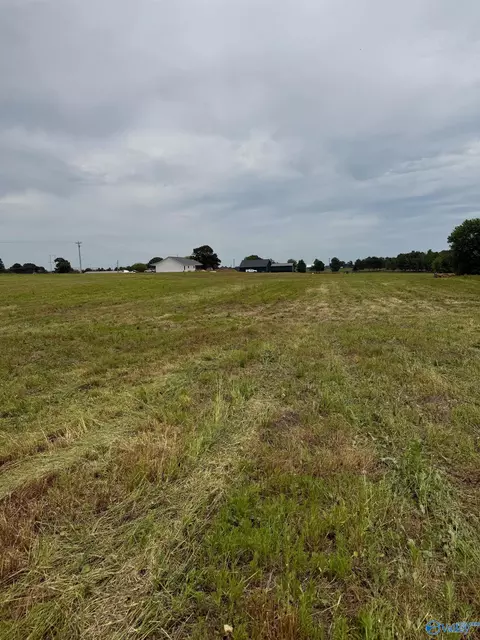 15 98 Acres County Road 154, Section, AL 35771 photo 7