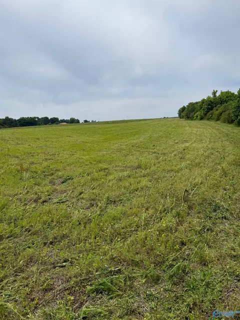 15 98 Acres County Road 154, Section, AL 35771 photo 19