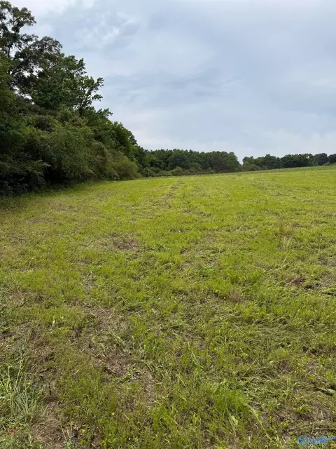 15 98 Acres County Road 154, Section, AL 35771 photo 17