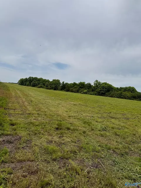 15 98 Acres County Road 154, Section, AL 35771 photo 9