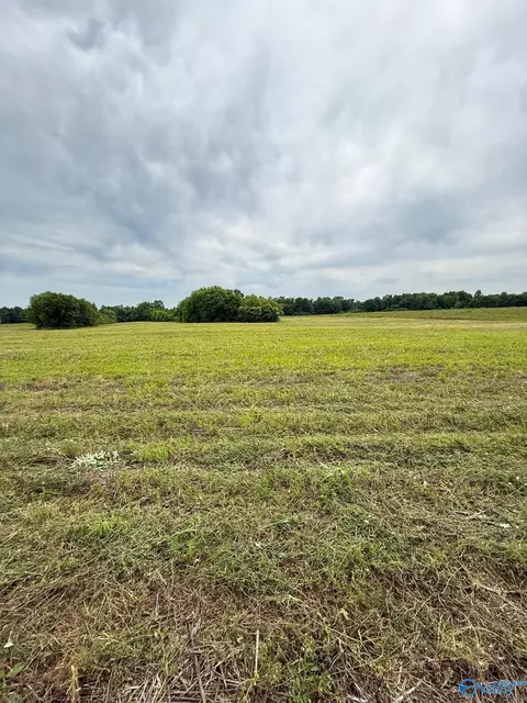 15 98 Acres County Road 154, Section, AL 35771 photo 10