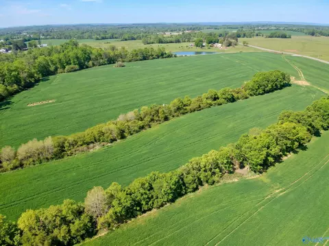 15 98 Acres County Road 154, Section, AL 35771