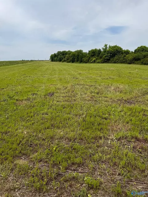15 98 Acres County Road 154, Section, AL 35771 photo 12