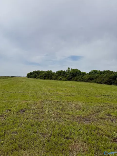 15 98 Acres County Road 154, Section, AL 35771 photo 11