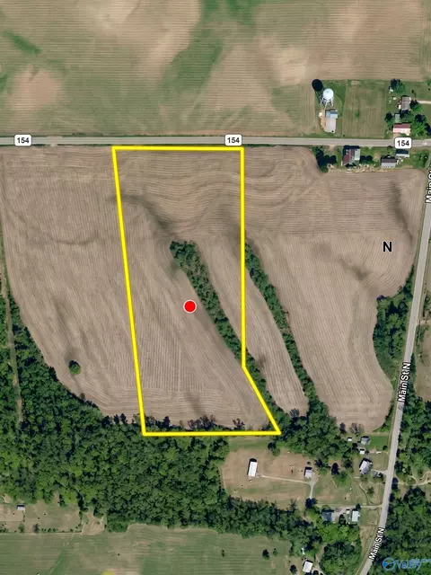 15 98 Acres County Road 154, Section, AL 35771 photo 2