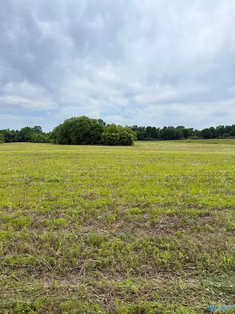 15 98 Acres County Road 154, Section, AL 35771 photo 3