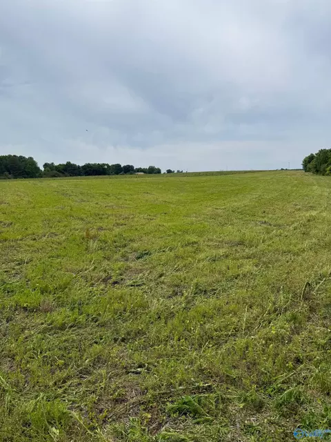 15 98 Acres County Road 154, Section, AL 35771 photo 15
