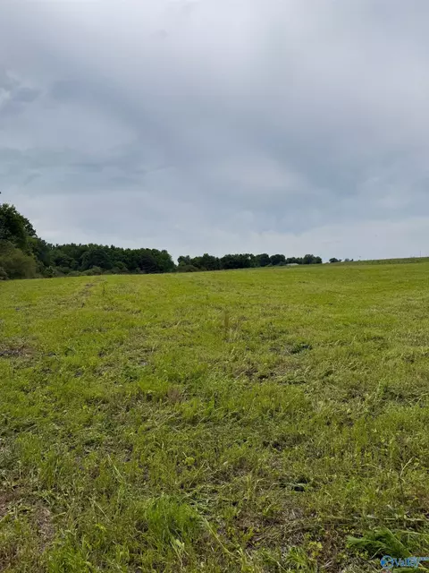 15 98 Acres County Road 154, Section, AL 35771 photo 14