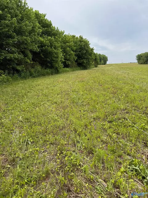 15 98 Acres County Road 154, Section, AL 35771 photo 24